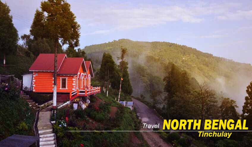 North Bengal Tour from NJP: 6 Days of Forest Trails and Hill Charm