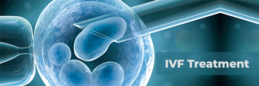 Delhi Diaries of Hope: A Glimpse into Contemporary Fertility Advances