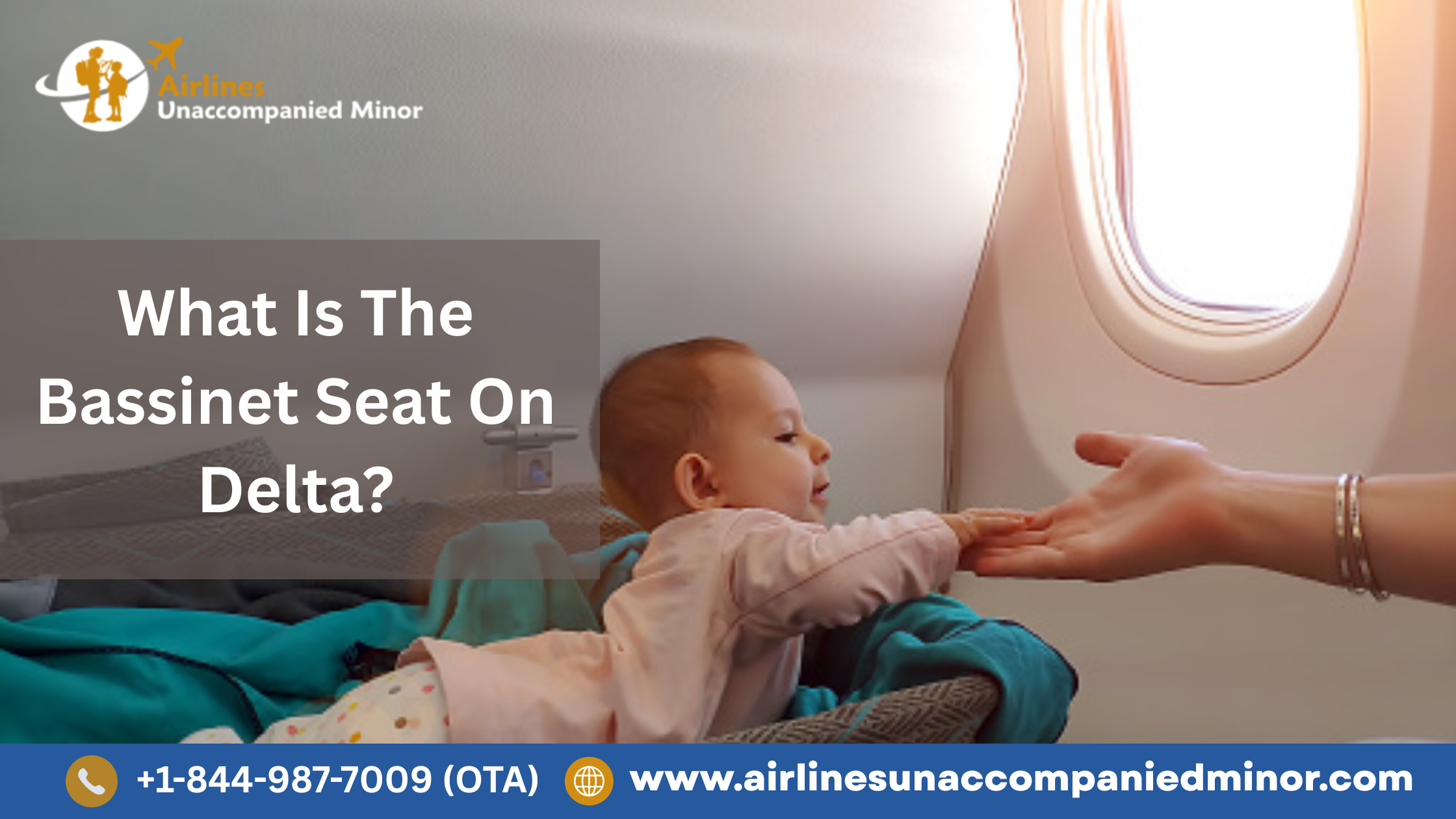 What Is The Bassinet Seat On Delta?