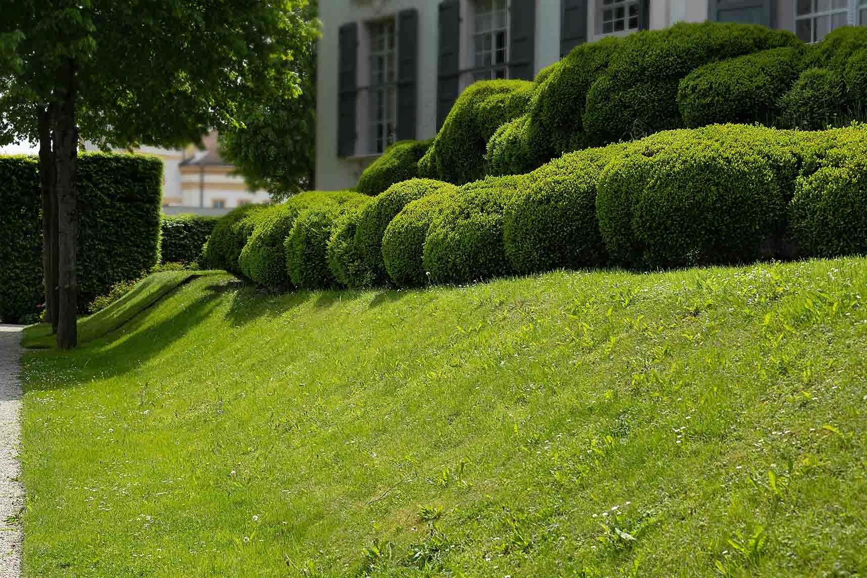 Drainage Tips for Managing Yard Flooding in Gonzales, LA
