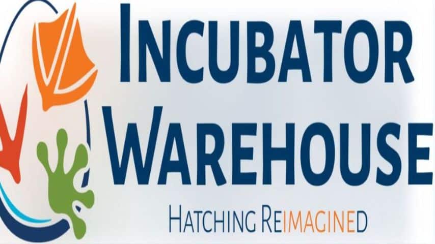 Premium Snake Egg Incubators for Every Reptile Keeper