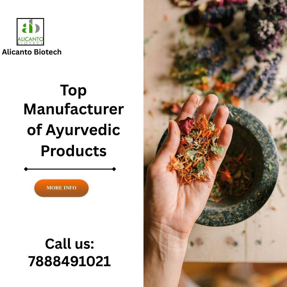 Manufacturer of Ayurvedic Products