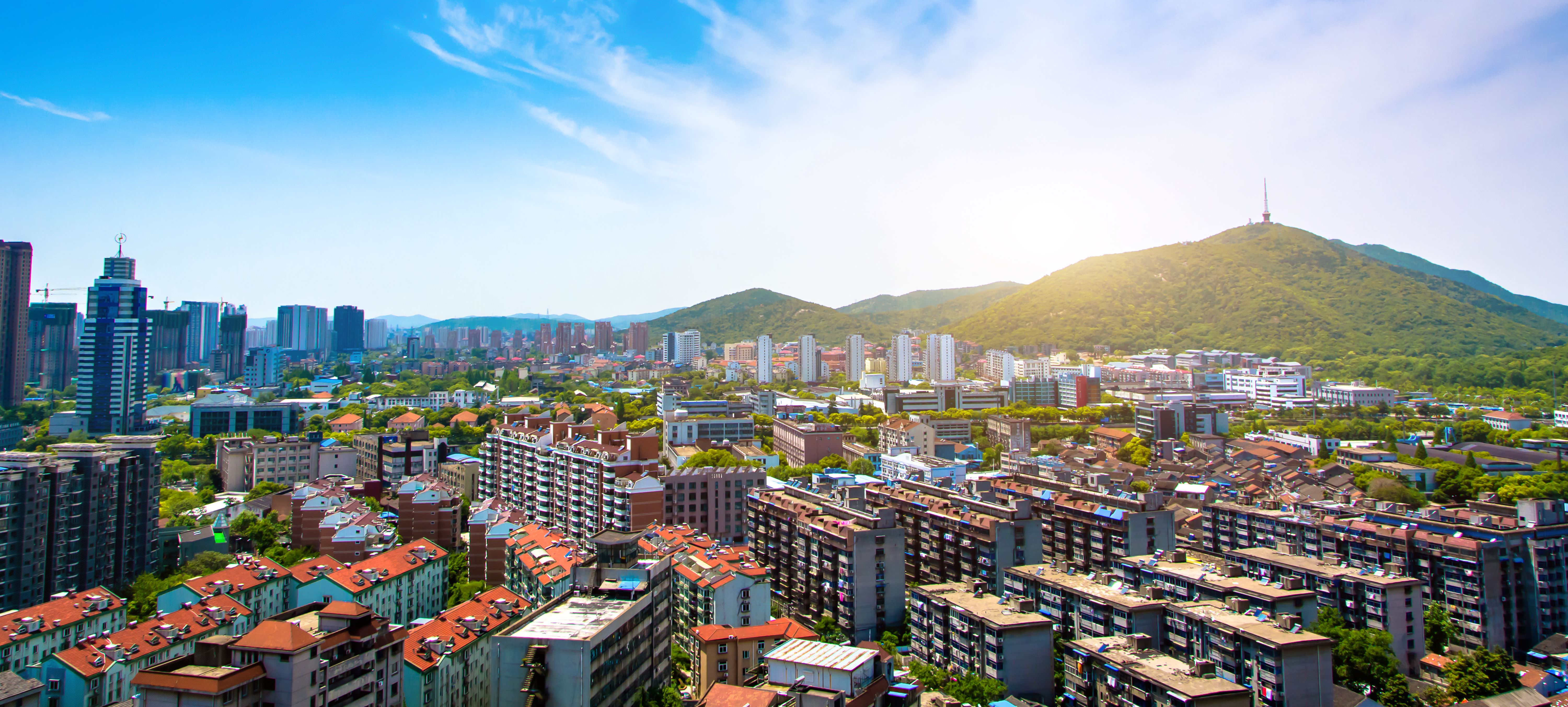 The Role of a Real Estate Consultant in Commercial Property Deals