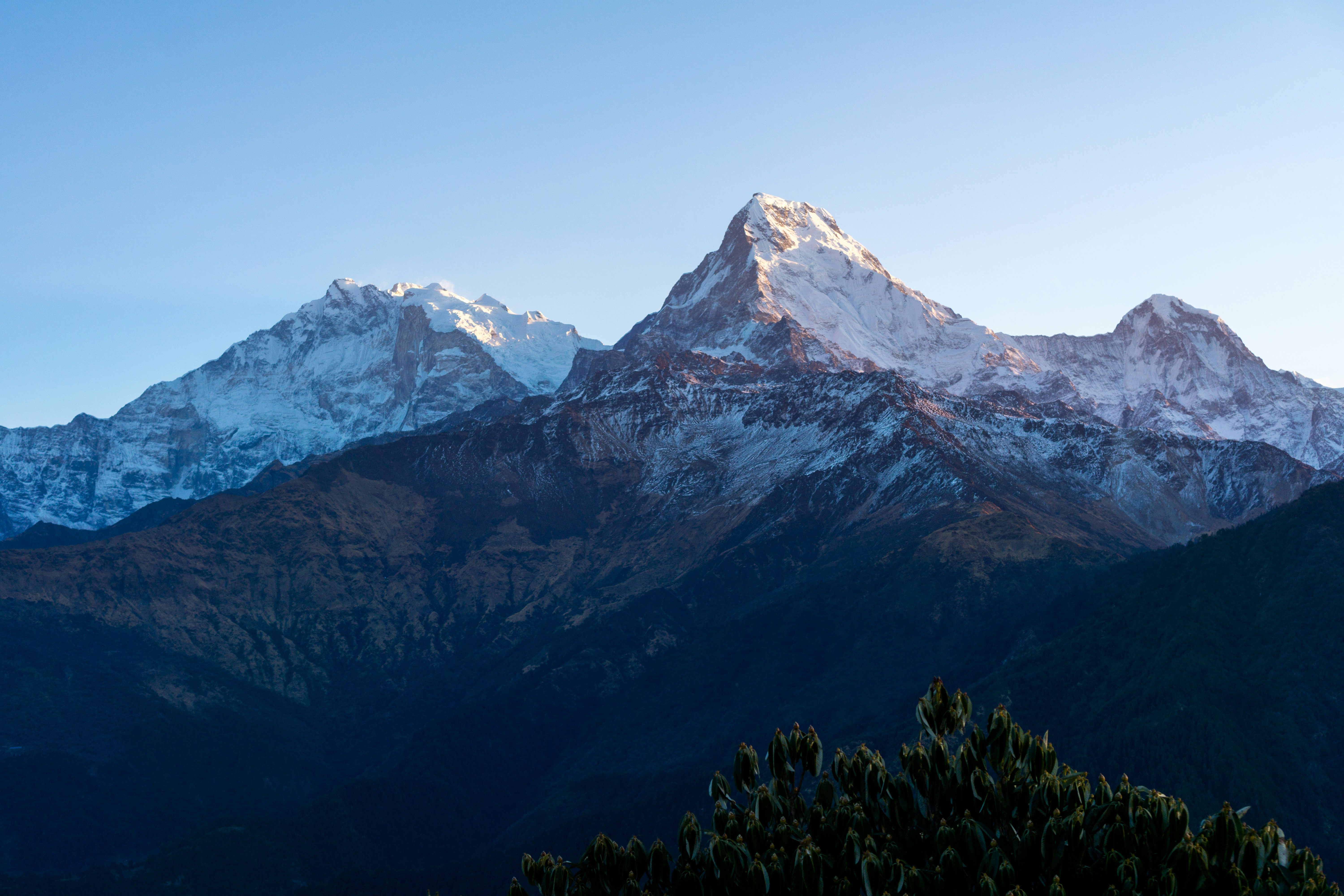 Ghorepani Poonhill Trekking: A Short and Scenic Himalayan Journey