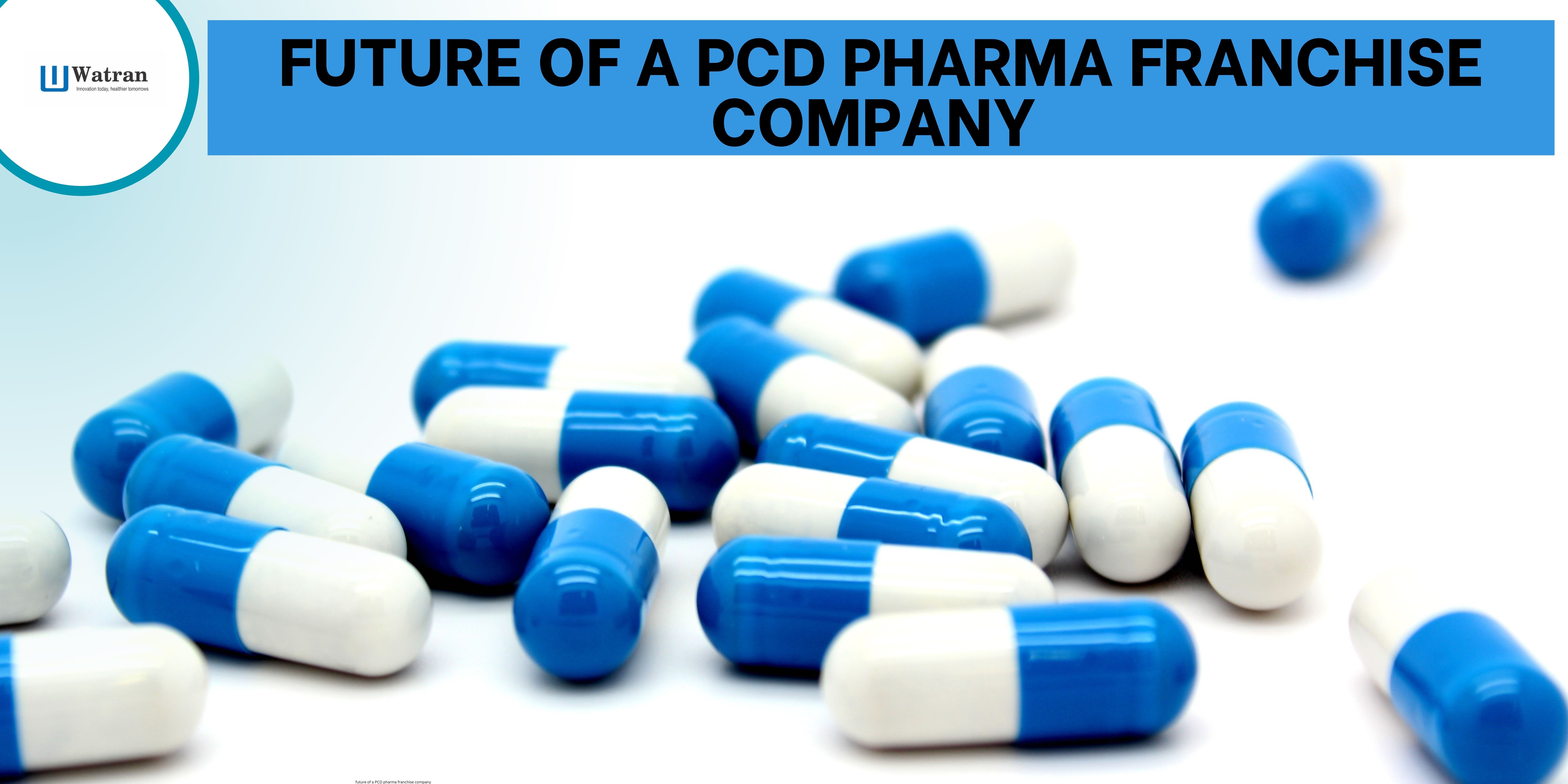 Top Strategies to Expand Your PCD Pharma Franchise Business