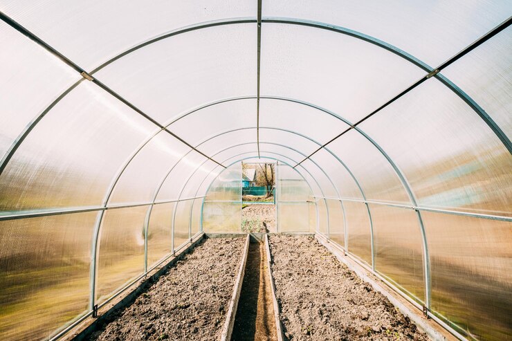 Greenhouse Plastic Options for Hobbyists and Farmers