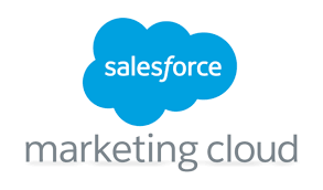 Unleash the Power of Real-Time Data with a Salesforce Data Cloud Course