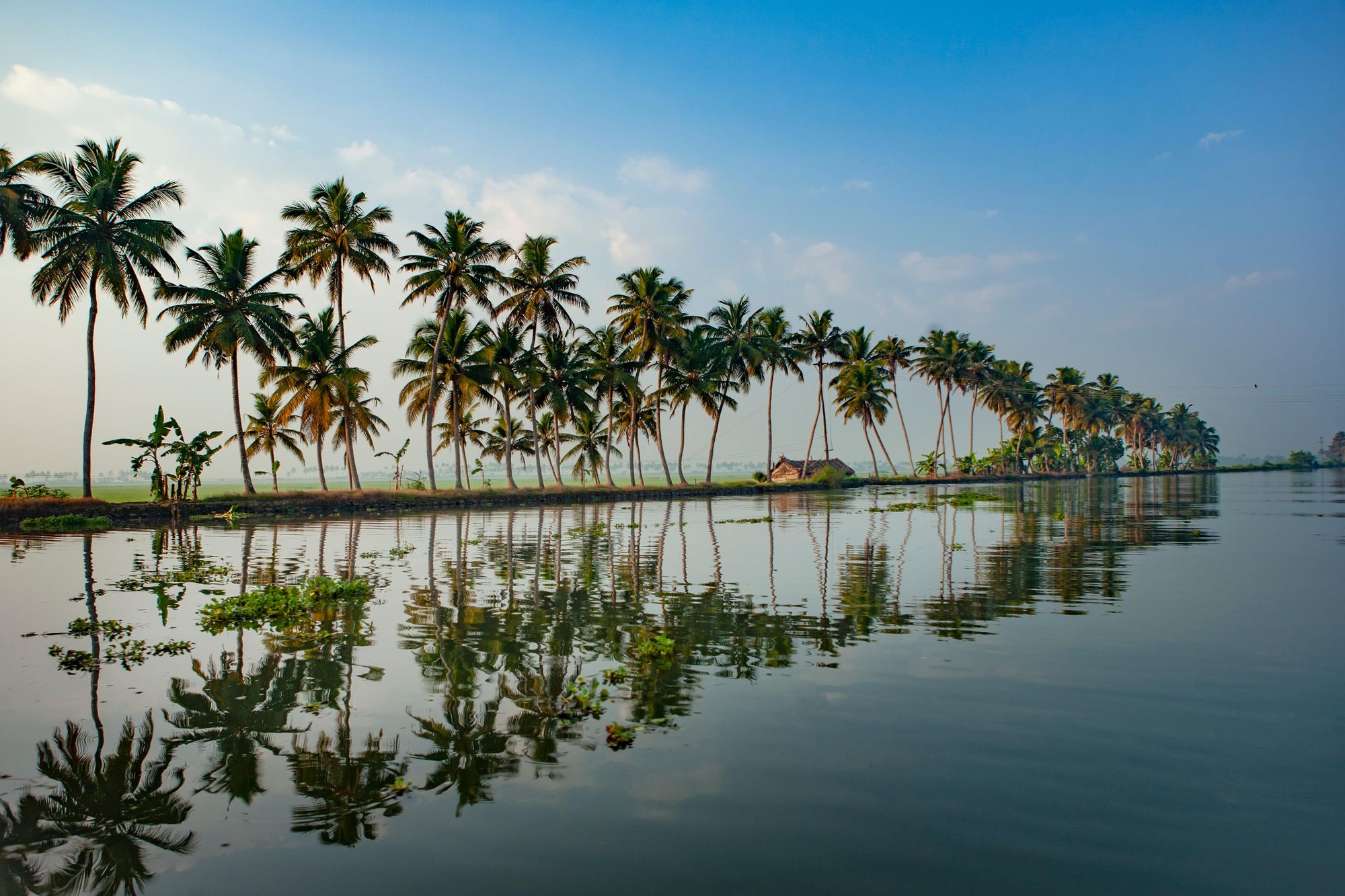 A Dream Bali Vacation with Thrillophilia: A One-Week Journey of a Lifetime