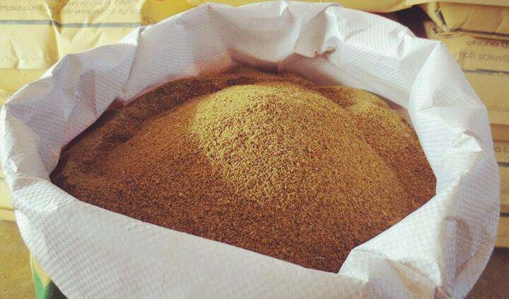 Fish Meal Manufacturing Plant - Detailed Project Report, Cost and Revenue