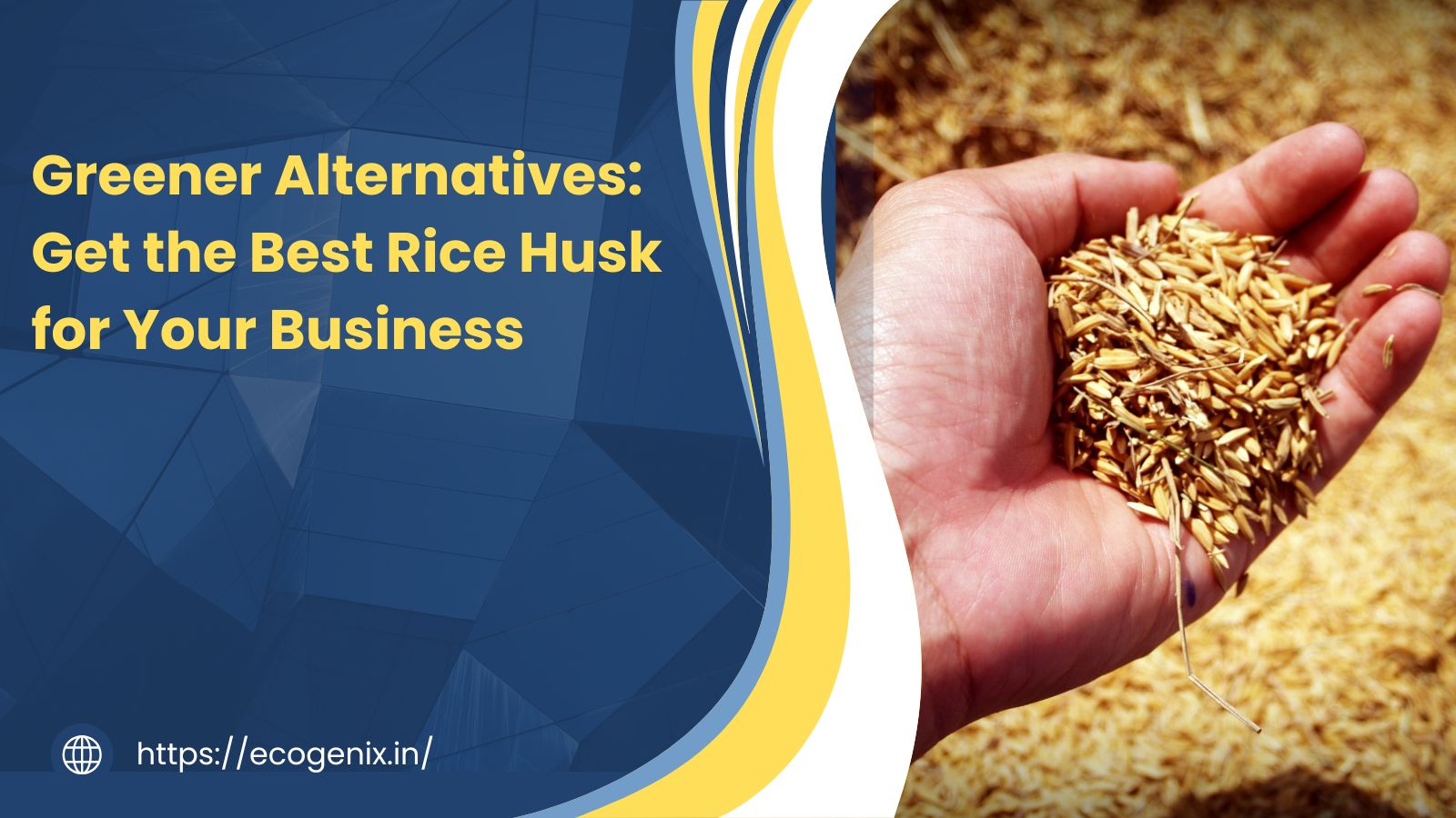 Greener Alternatives: Get the Best Rice Husk for Your Business