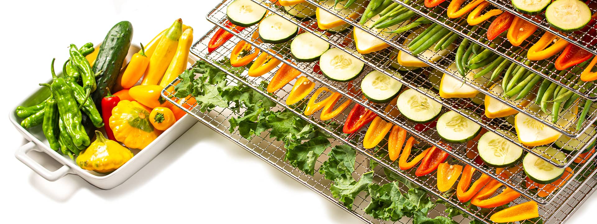 Vegetable Dehydration Processing Plant Project Report | Raw Material Requirements and Costs