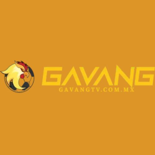 Xem V-League Tai GavangTV