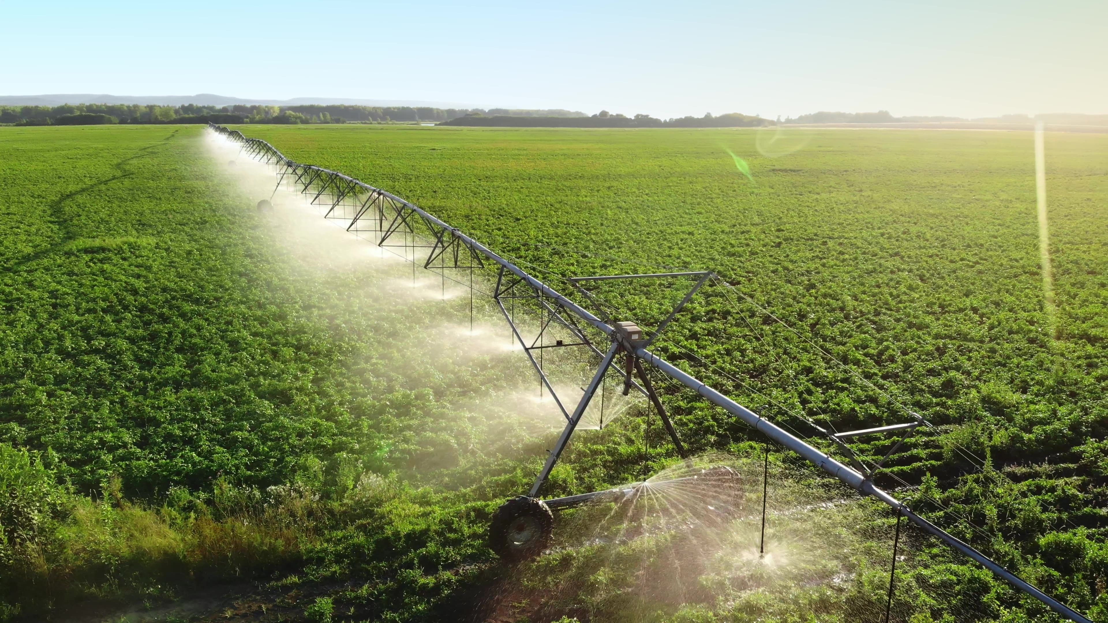 Sell Farm Products Online in India: Empowering Farmers Through Digital Platforms