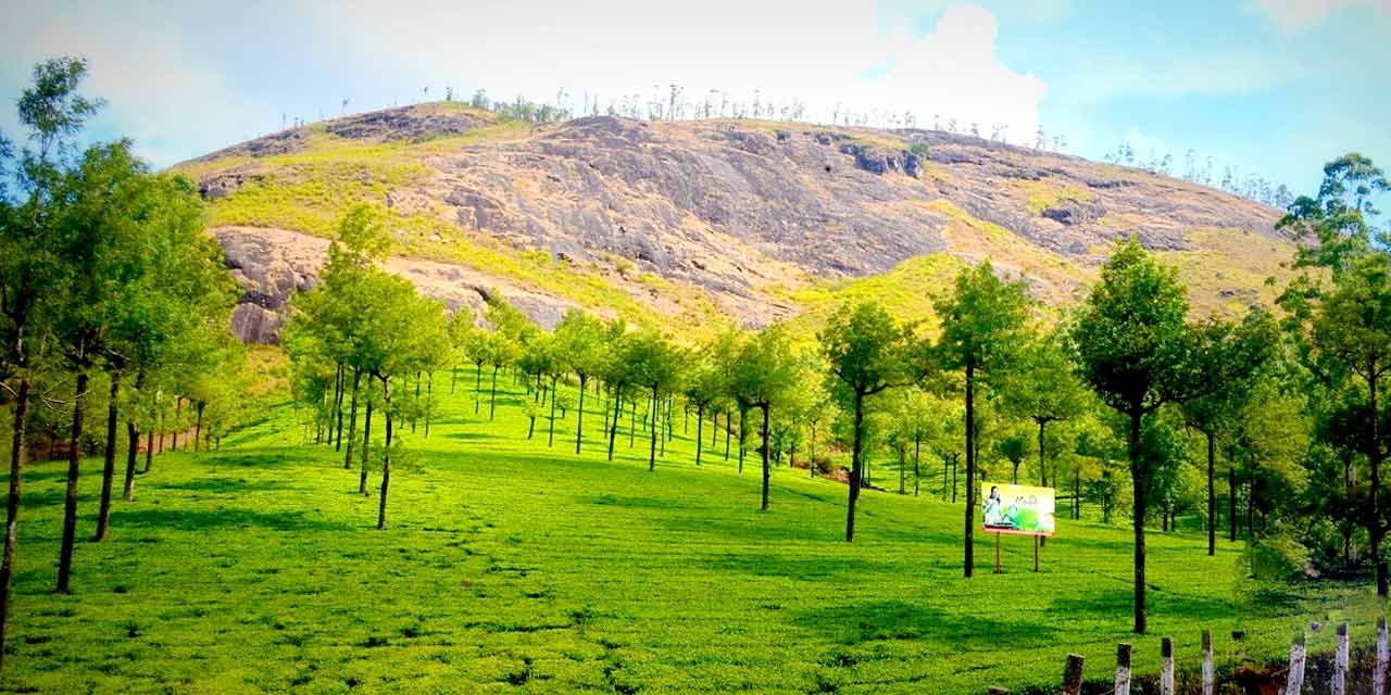 Discover the Beauty of Photo Point Munnar on Your Trip