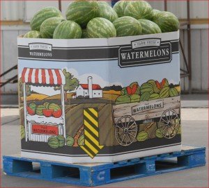 What to Look for When Buying a Watermelon Bin