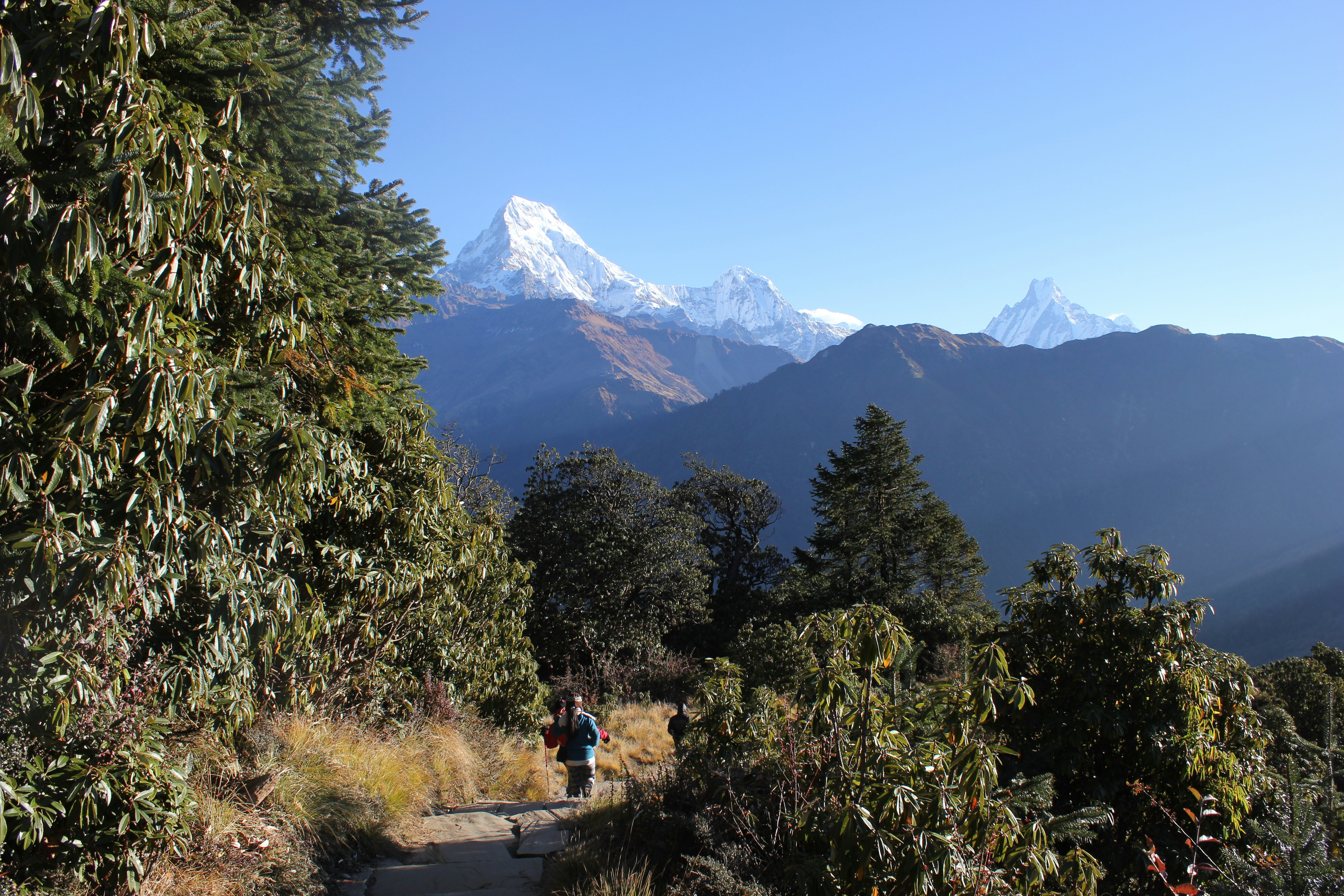 Why the Ghandruk Route to Annapurna Base Camp Feels Special