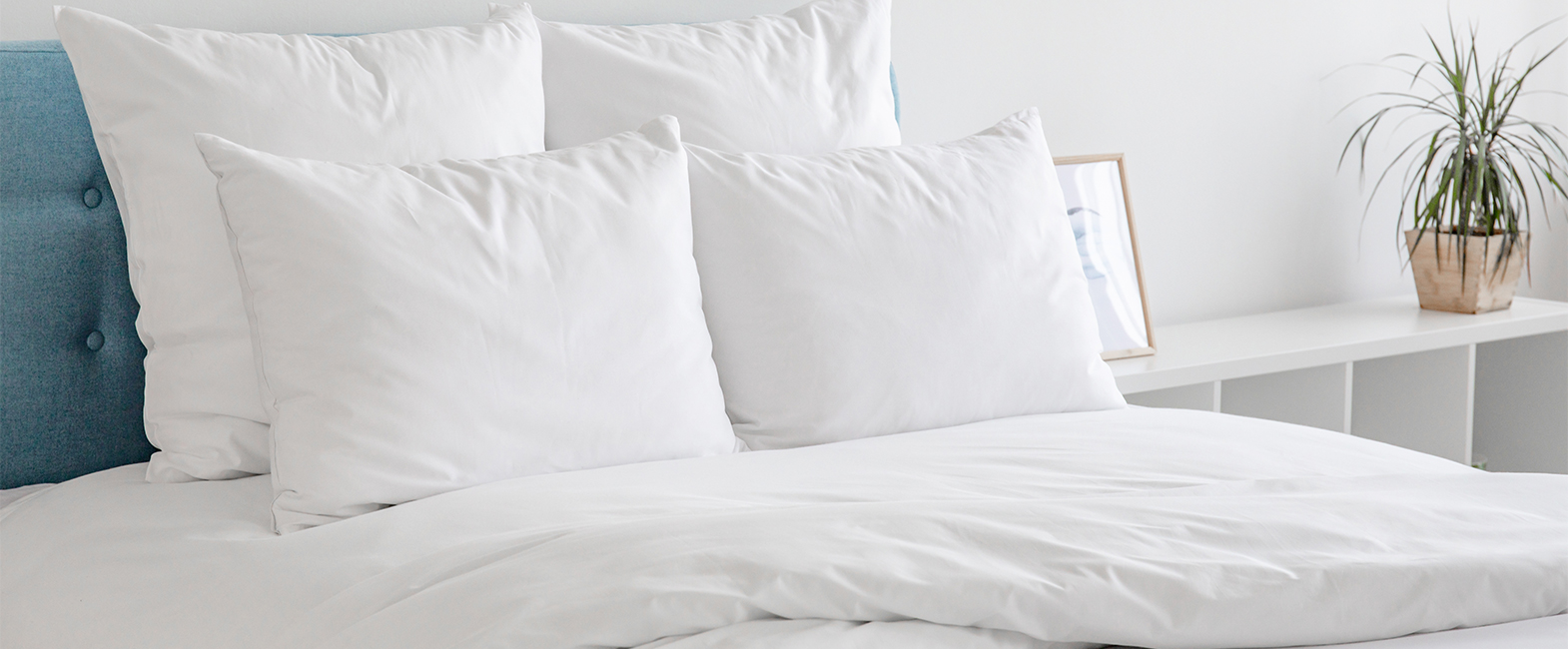 What Sets Hutterite Down Pillows Apart?