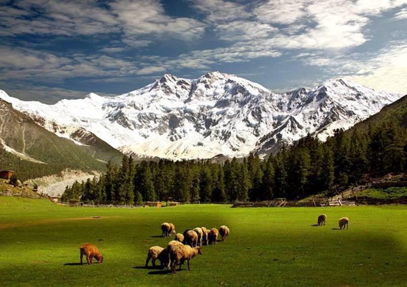 Why Fairy Meadows Should Be on Your 2025 Bucket List – Full Tour Packages