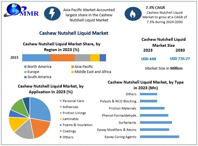 What Is the Future Outlook for the Global CNSL Market Through 2030?