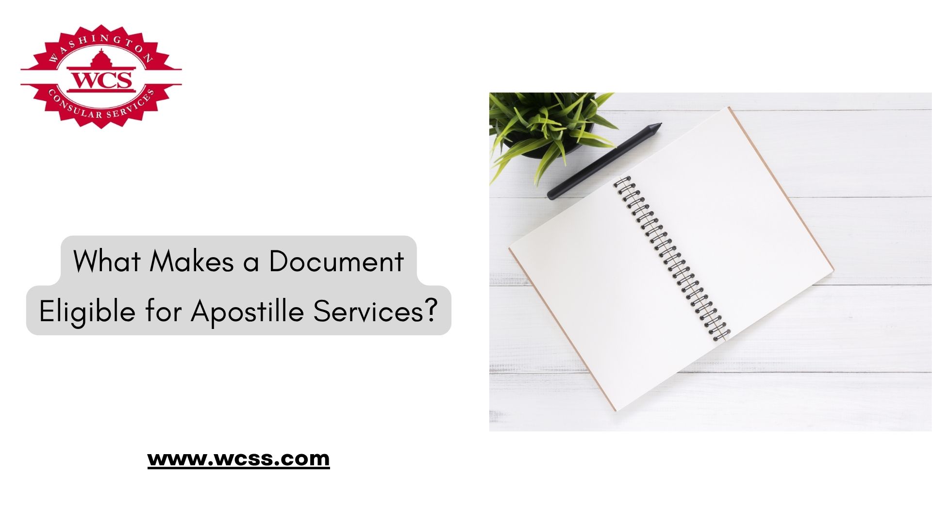 What Makes a Document Eligible for Apostille Services?
