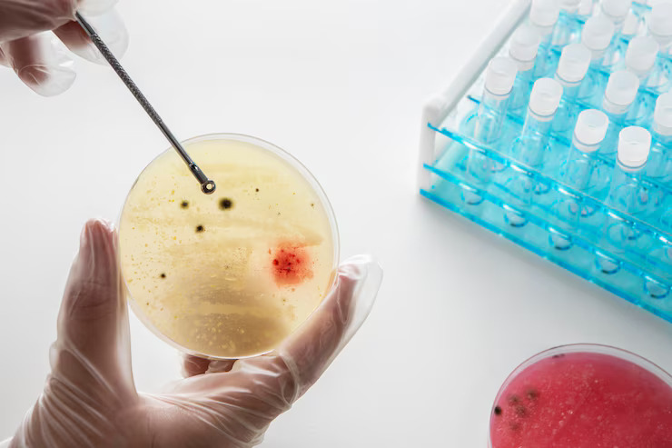 The Rising Demand for Cancer Biopsies: Technologies, Trends, and Opportunities
