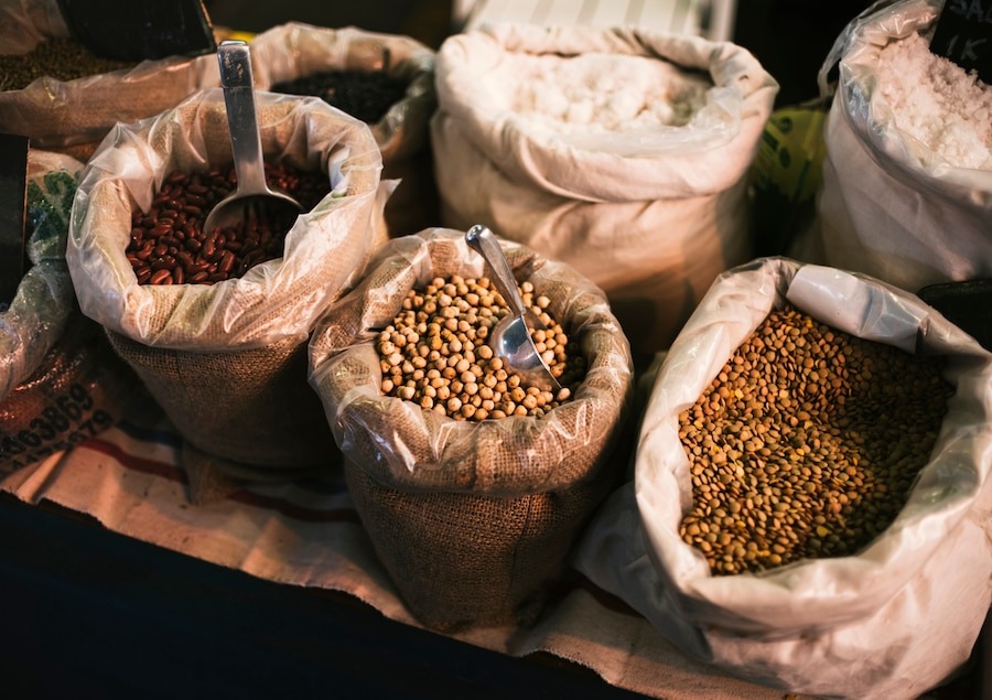 United States Seed Market Size, Share Top Companies, Forecast 2025-2033