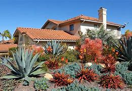 The Role of Landscaping in Environmental Conservation: How Your Yard Can Make a Difference