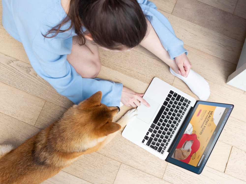 Pet Medicine Online: Tips Every Pet Parent Should Know