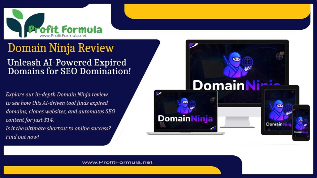 Domain Ninja Review: How This AI Tool Lets You Flip Expired Domains for SEO Success