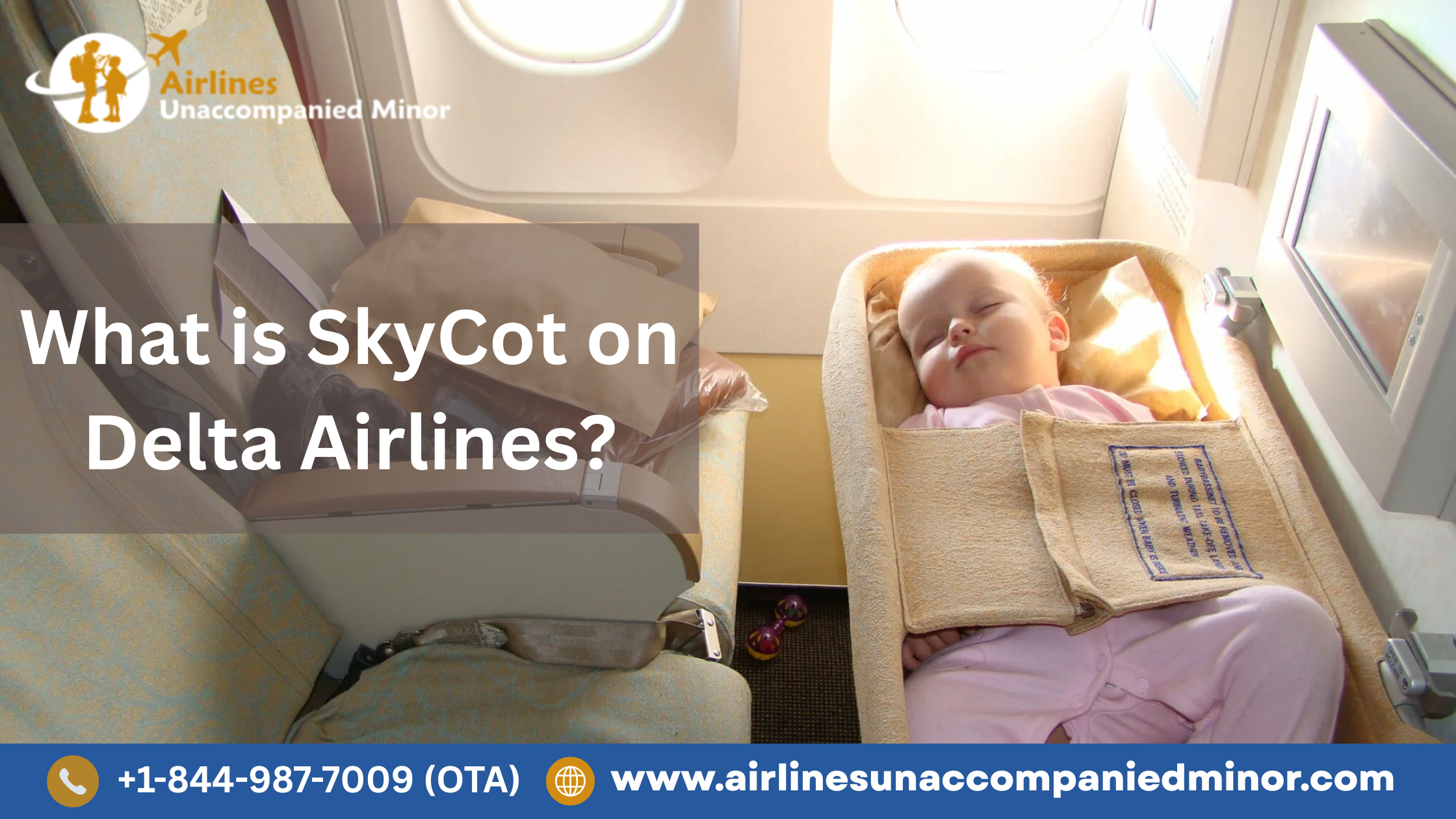 What Is SkyCot On Delta Airlines?