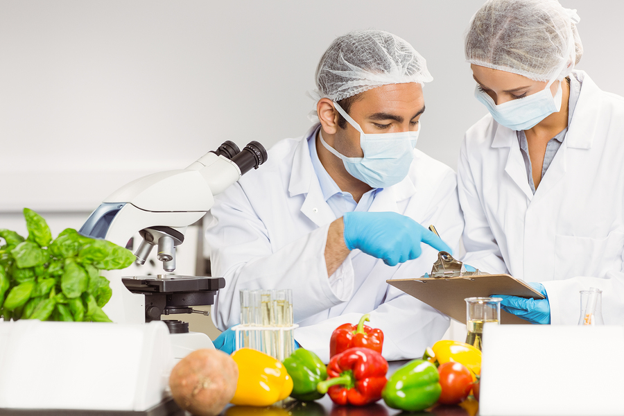 Food Safety Course: The Key to Clean and Safe Food Handling