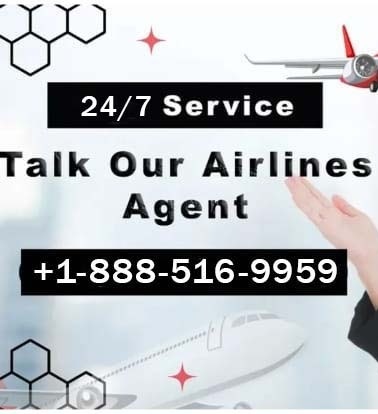 11 Steps to Call Breeze Airways Customer Service by Phone, Email, or Chat Options: Complete Steps Guide