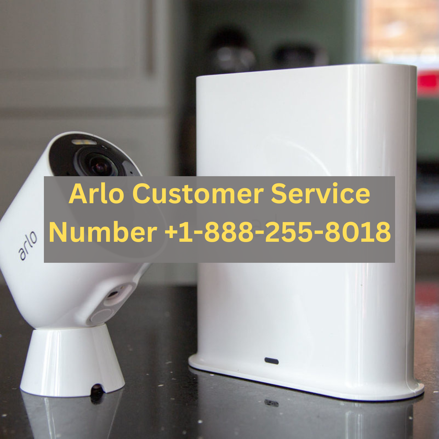 1 Ways Arlo - Phone Number & Contact Information | Arlo US