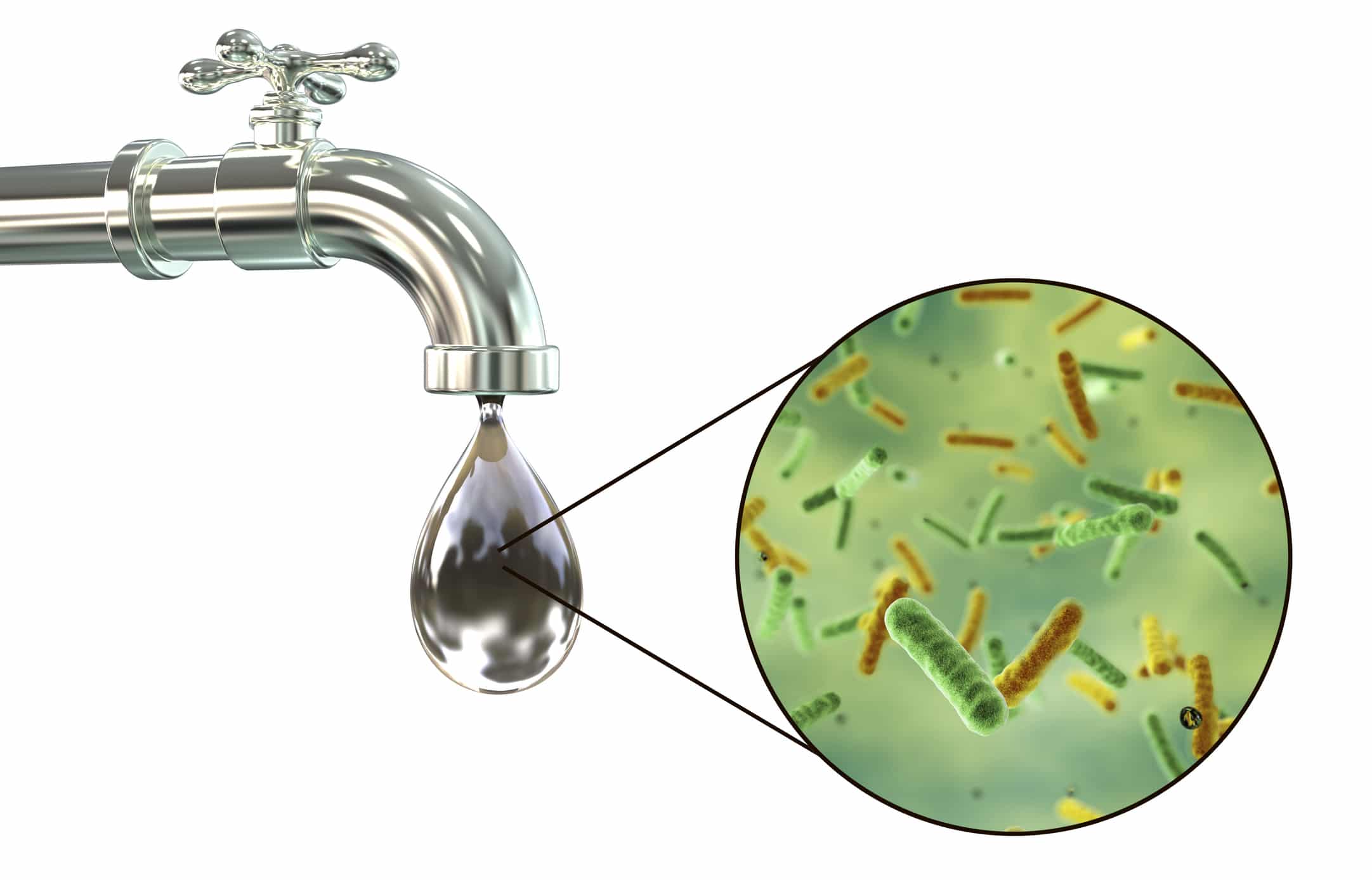 Tap Water Bacteria: What’s Really in Your Glass?