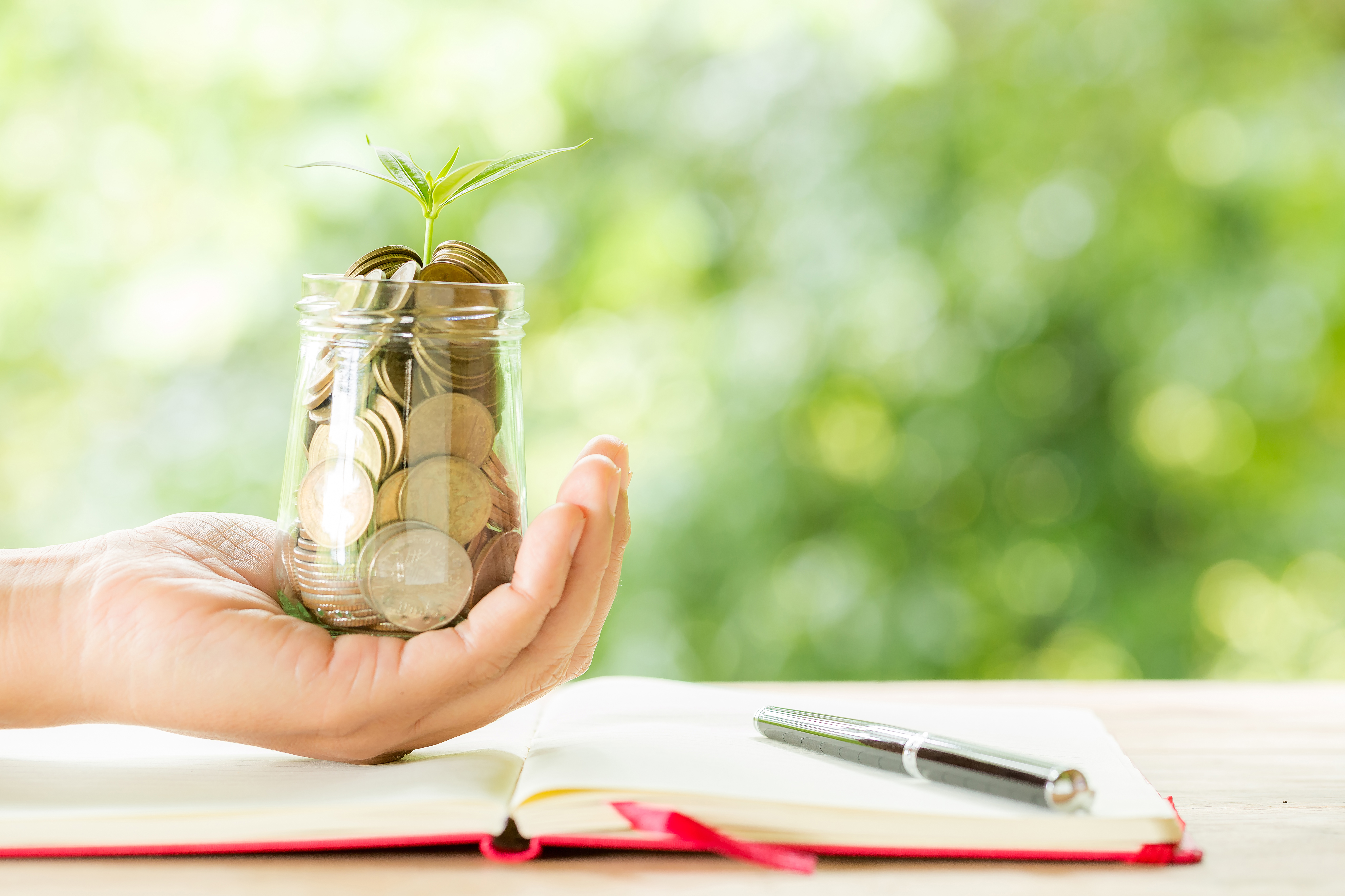 What Is A Small-Cap Mutual Fund and How Does it Work?