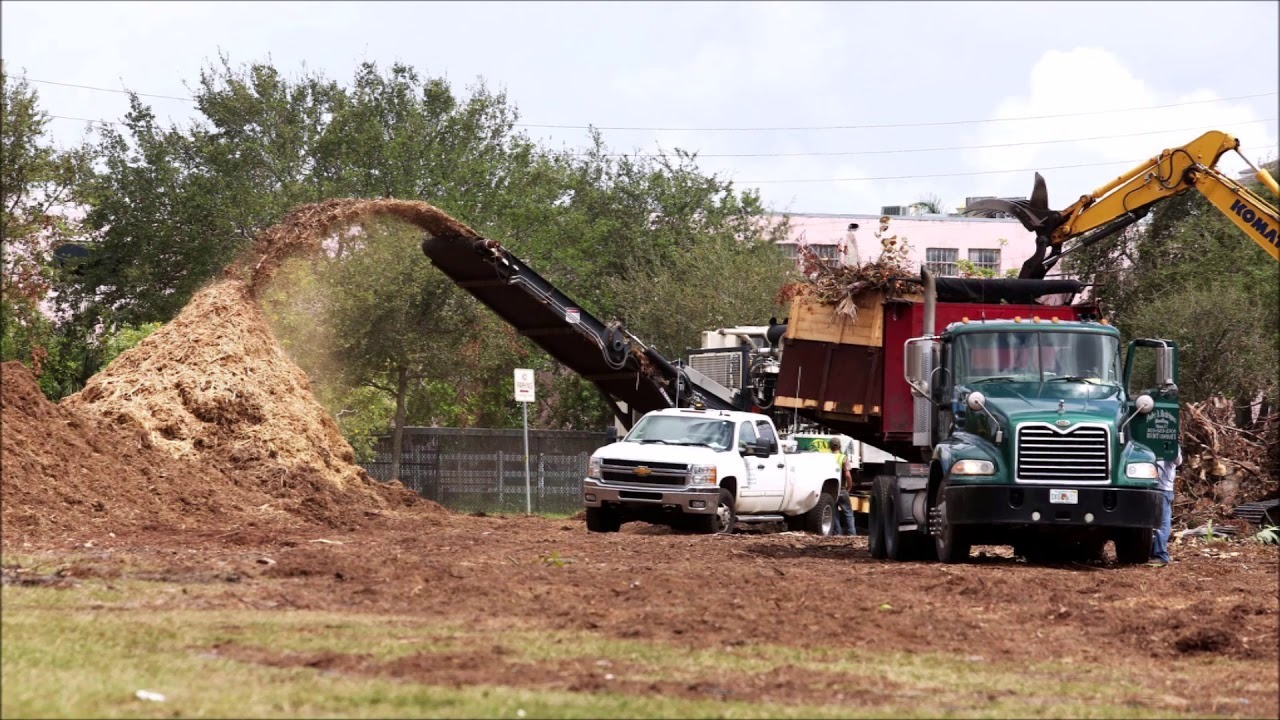 Don't Let Junk Pile Up: When to Call a Debris Hauling Service