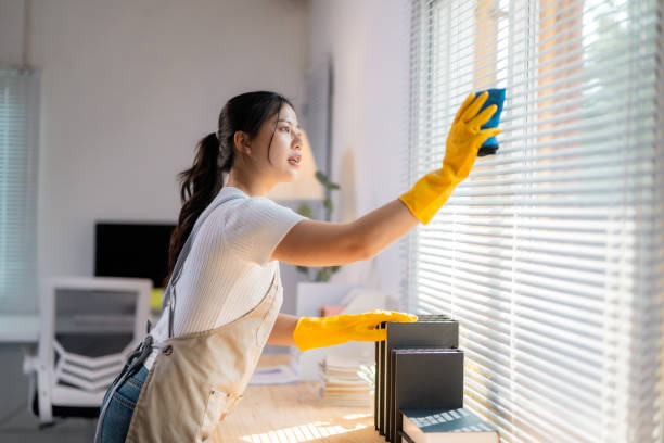Drapery and Blinds Cleaning in New York: A Comprehensive Guide
