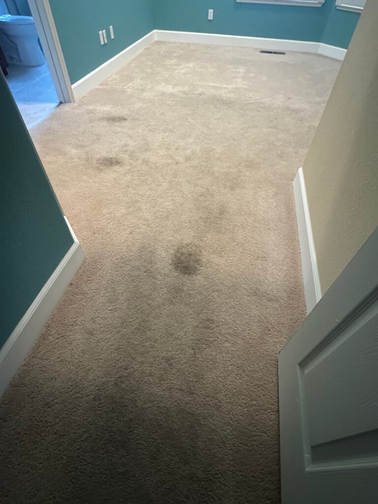 Professional Odor Removal Services: Eliminate Unwanted Smells for Good