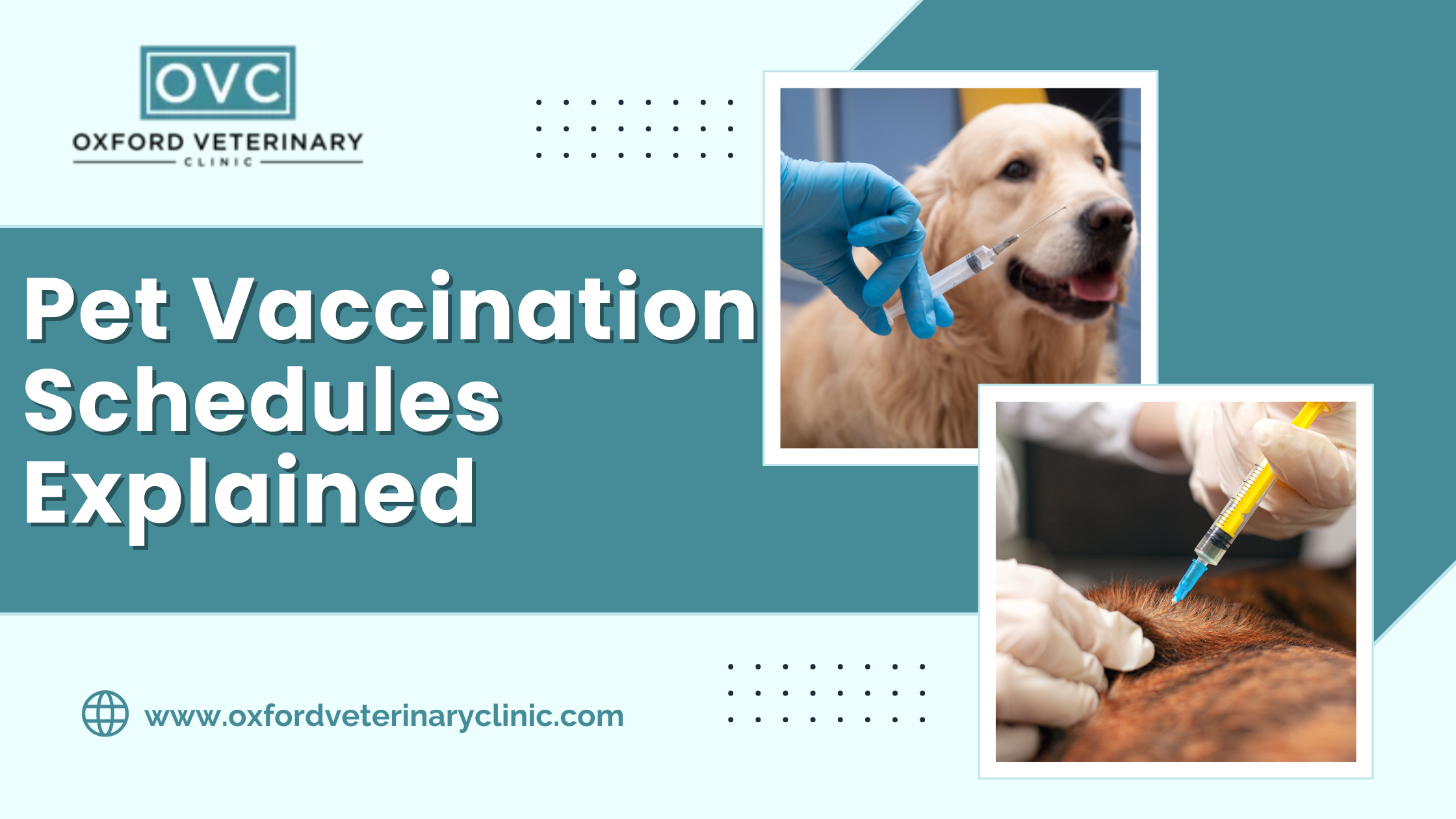 Pet Vaccination Schedules Explained