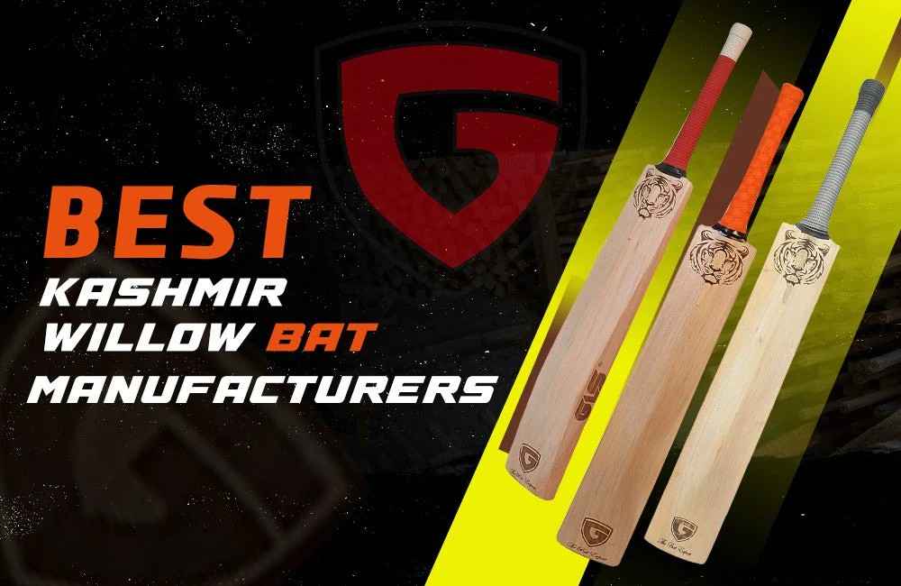 English Willow vs Kashmir Willow: Which Cricket Bat Is Best for You?