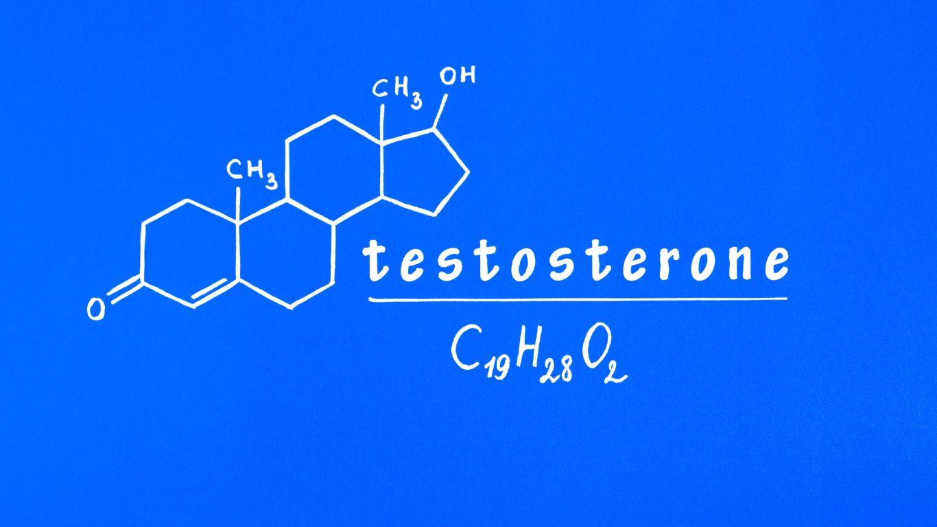 Enclomiphene Citrate: The Testosterone Booster You Should Know About