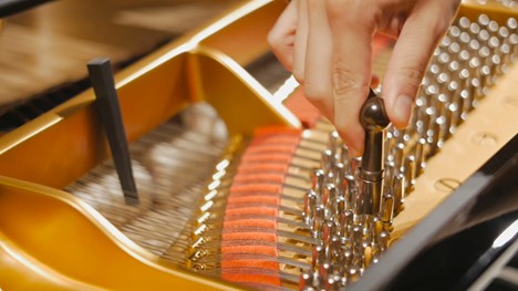 What Every Piano Owner Needs to Know Before Their Next Tuning