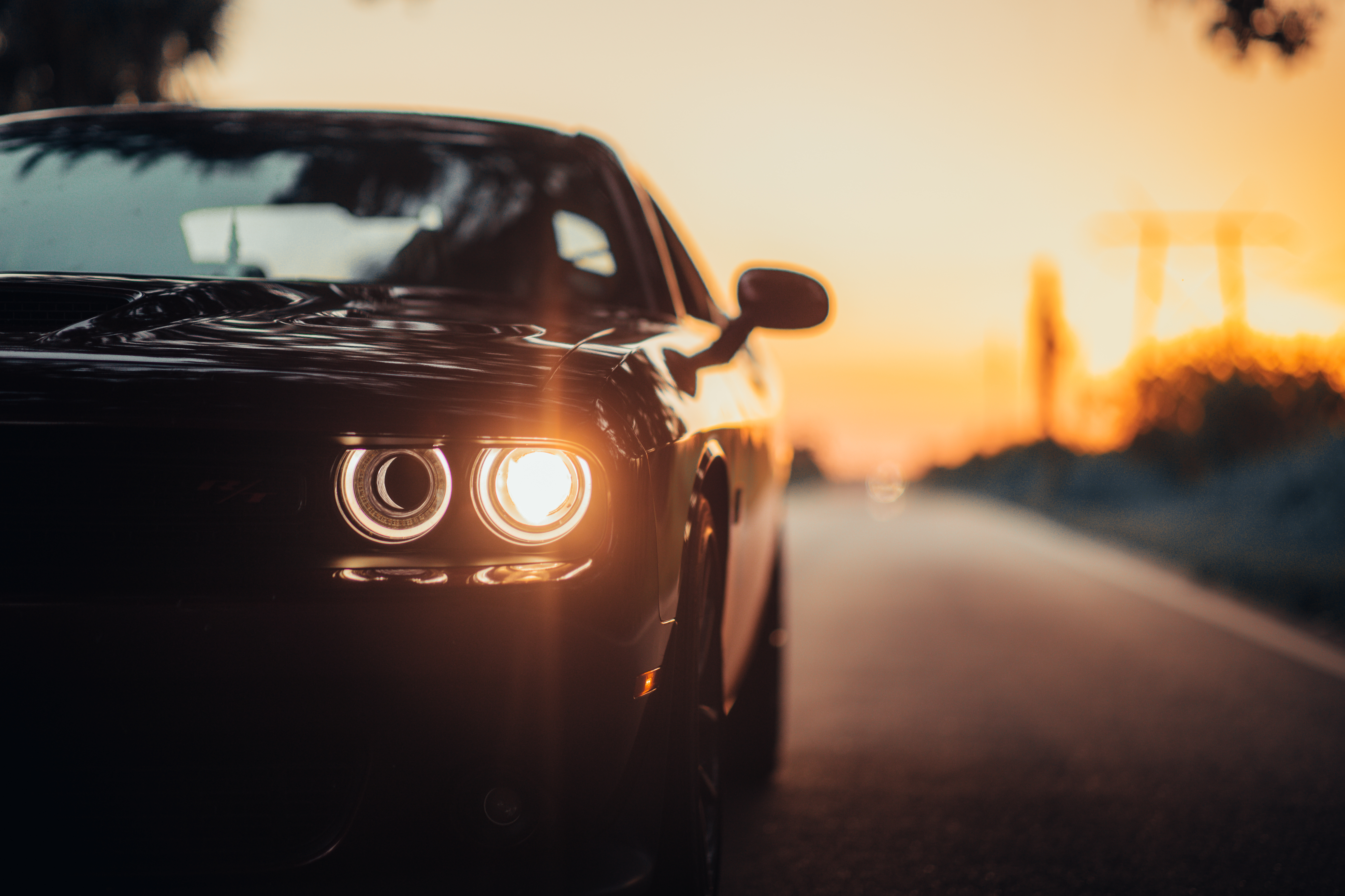 Explore Dubai with Comfort: Your Guide to SUV Rentals