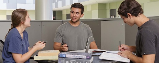 How Triadessay Enhances College Tutoring Services for University Students