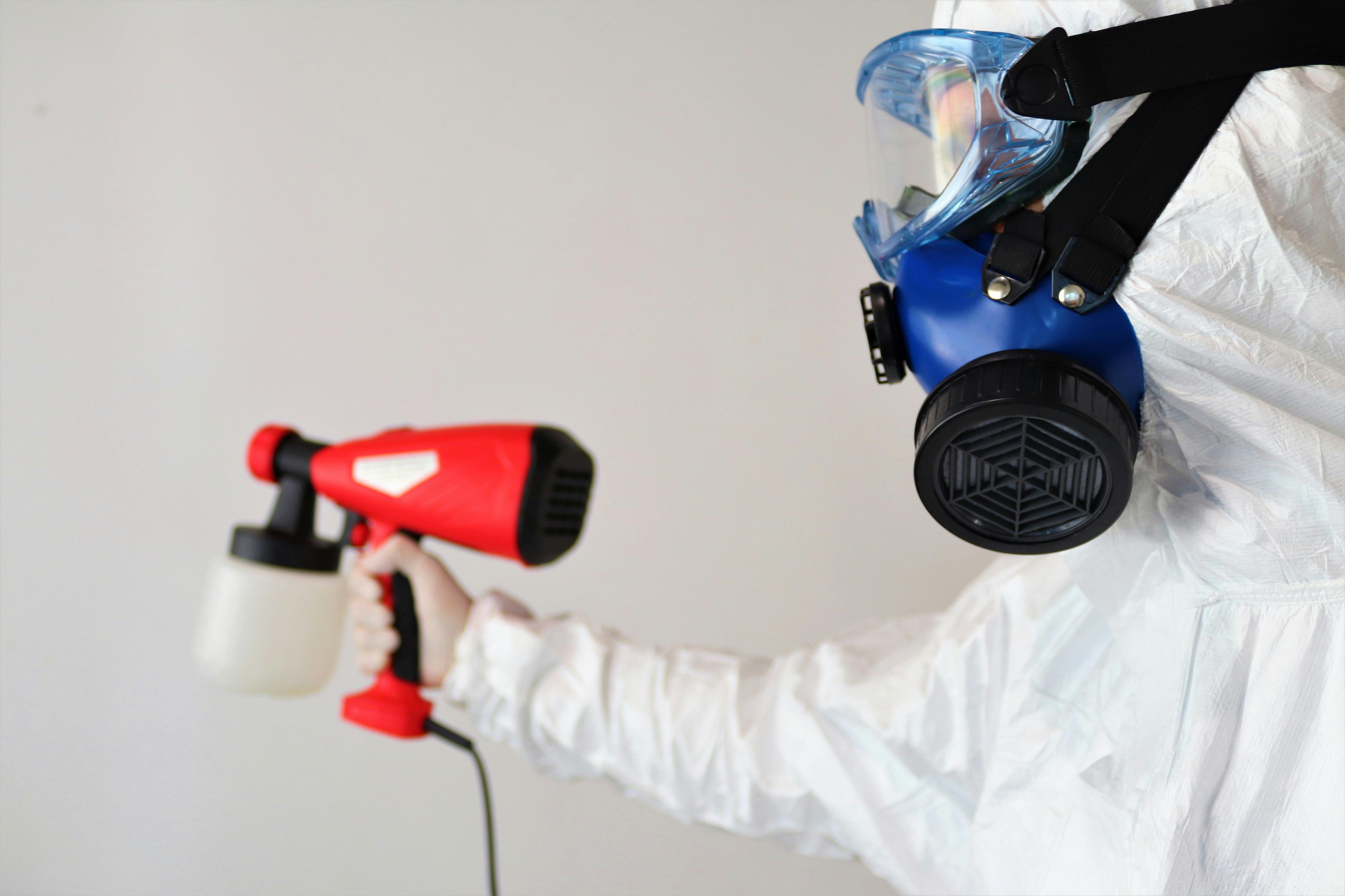 Mold Removal and Remediation | 2025