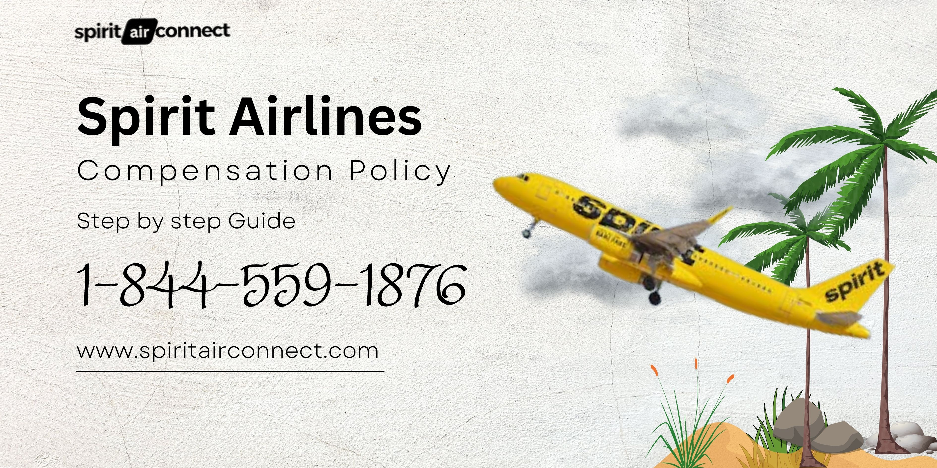 Spirit Airlines Compensation Policy: A Step-by-Step Guide