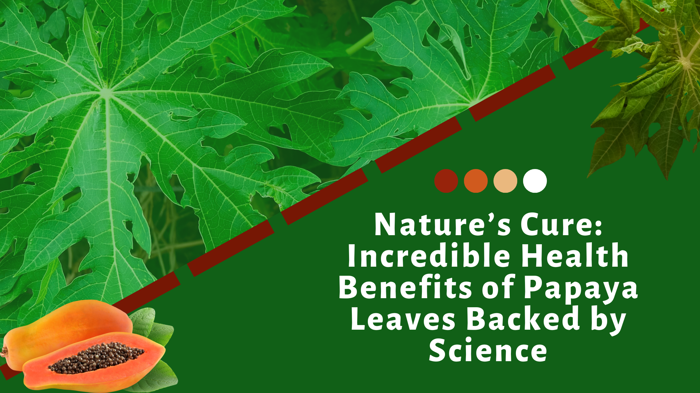 Nature’s Cure: Incredible Health Benefits of Papaya Leaves Backed by Science