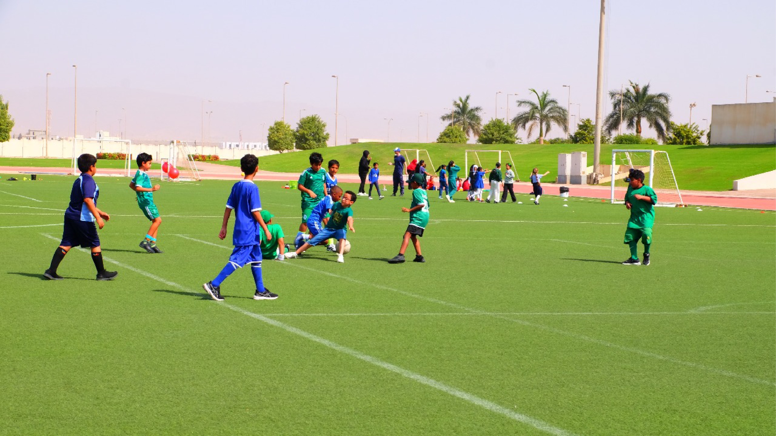 How Physical Education Contributes to Overall Wellbeing