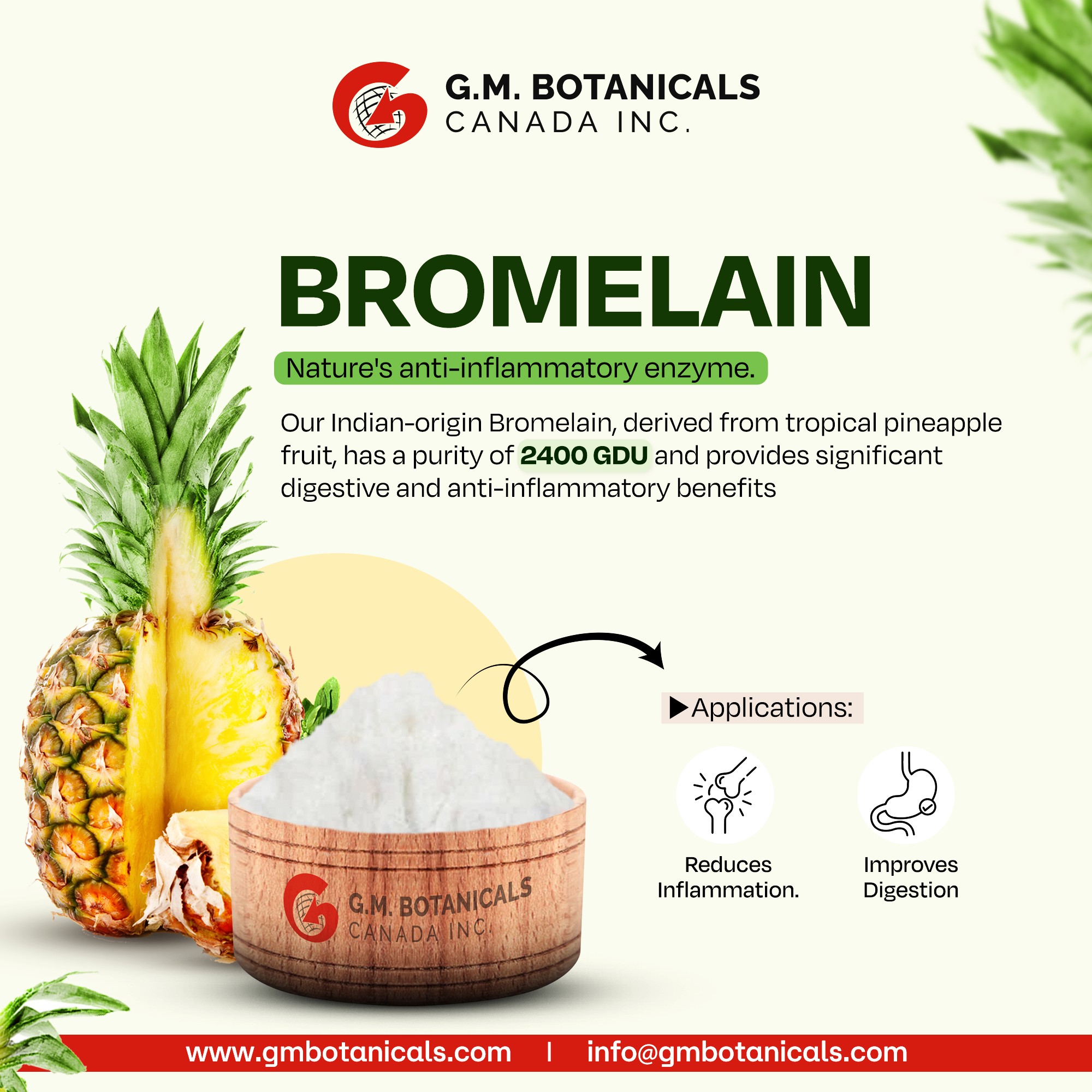 Bromelain Extract: The Natural Enzyme Making Waves in Wellness