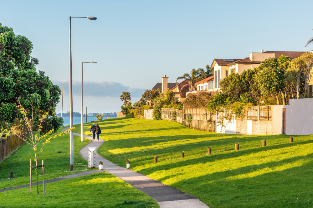 What Makes Bay Area Landscape Design Unique?
